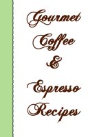 Gourmet Coffee And Espresso Recipes, A Free Ebook, Compliments Of The Author of the Old-Fashioned Regency Romance novel, A Very Merry Chase